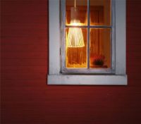 Billede af Secto Design 4200 Pendel Ø: 30 cm - Birk 