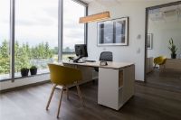 Billede af Secto Design Owalo Pendel 7000 L: 100 cm - Birk