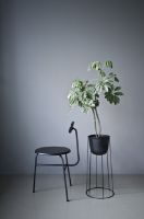 Billede af Audo Copenhagen Afteroom Dining Chair SH: 46 cm - Black Steel Base/Black Wood 