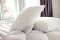 Billede af DUX Superior Pude Fast - 60 x 63 cm