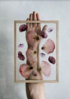 Billede af Moebe Frame A3 - Oak