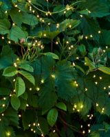 Billede af Sirius Knirke Lyskæde m/350 lys - 15 x 2,7 m