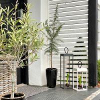 Billede af LOOM Design Lucerna Lanterne H: 30 cm - Hvid OUTLET