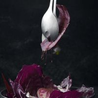 Billede af Nicolas Vahé Salatsæt Daily L: 26,5 cm - Rustfrit Stål