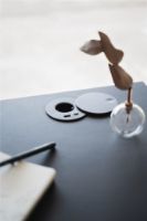 Billede af Bent Hansen Hemingway Skrivebord m. Opladerstation L: 120 cm - Sortlakeret Bøg/Conifer Green Linoleum