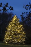 Billede af Sirius Top-Line Start Set W/Sensor - Warm White 