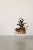 Billede af Audo Copenhagen Umanoff Planter H: 32,5 cm - Rattan