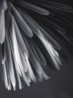 Billede af Foscarini Sun-Light of Love Pendel LED MyLight Ø: 65cm - Hvid