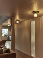 Billede af DCW Editions Mantis In The Sun 190 Væg- og loftlampe Ø: 19 cm - Sølv/Sølv