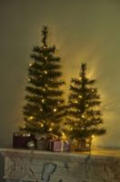 Billede af Sirius Alvin Juletræ m/20 lys H: 60 cm - Warm White OUTLET