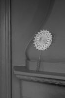 Billede af Watt & Veke Elvira Papirtopstjerne Ø: 20 cm - Hvid OUTLET