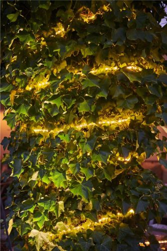 Sirius Top-Line Ropelight Start Set 100 LED Lys