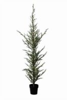 Billede af Sirius Milas Cedar Træ 180 LED lys H: 190 cm - Grøn 