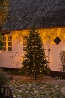 Billede af Sirius Top-Line Tree Drop Down Slow Flash 216 LED Lys