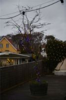 Billede af Sirius Tech-Line Multi Start Set 45 LED Lys