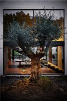 Billede af Cane-line Outdoor Illusion Ophængs Lampe H: 25 cm - Taupe