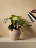 Billede af Audo Copenhagen Hydrous Watering Stick 2 Stk H: 36 cm - Ashen