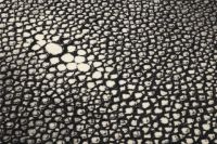 Billede af HANDVÄRK FURNITURE Stingray Tæppe 200x300 cm  OUTLET