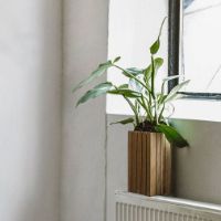 Billede af Squarely Copenhagen GrowSMALL 14x14 cm - Dark Oak