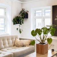 Billede af Squarely Copenhagen GrowON 22x22 cm - Dark Oak