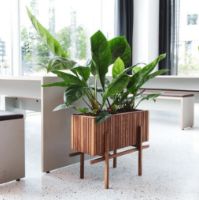 Billede af Squarely Copenhagen StandWIDE 60x27 cm - Dark Oak