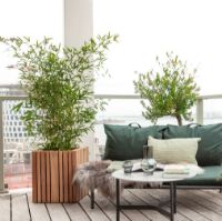 Billede af Squarely Copenhagen GrowBIG 45x45 cm - Dark Oak