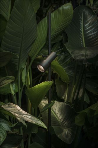 Lampefeber Palosanto B 5x2/90 Havelampe H: 90 cm - Sort