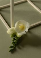 Billede af Audo Copenhagen Kubus 4 Stage 14x14 cm - Ivory