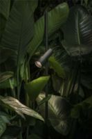 Billede af Lampefeber Palosanto B 5x2/90 Havelampe H: 90 cm - Sort