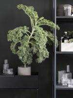 Billede af Ferm Living Plant Box 25x60 cm - Black