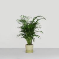 Billede af Ro Collection Two Tone Planter Floor Small Ø: 26 cm - Artichoke Green