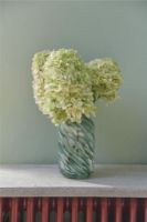 Billede af HAY Splash Vase Small H: 20,5 cm - Roll Neck/Green Swirl 