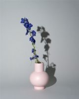 Billede af raawii Strøm XL Vase H: 33 cm - Coral Blush