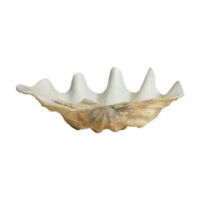 Billede af Nordal Kichi Muslingeskal Til Dekoration L: 52 cm - Beige 