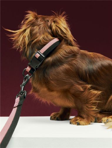 HAY Dogs Collar Flat M/L: 65 cm - Pink/Black 