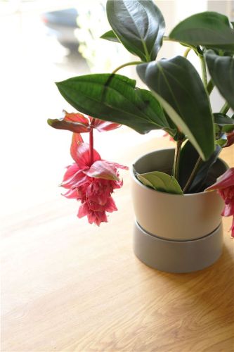 Ro Collection Two Tone Planter Large Ø: 20 cm - Dune Grey